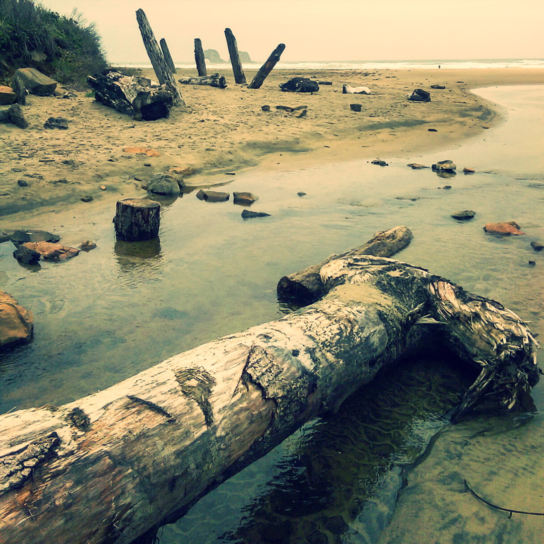 Beachcombing in Oregon