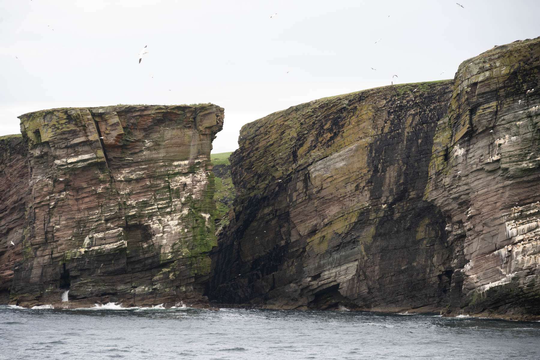 2 July: Shetlands