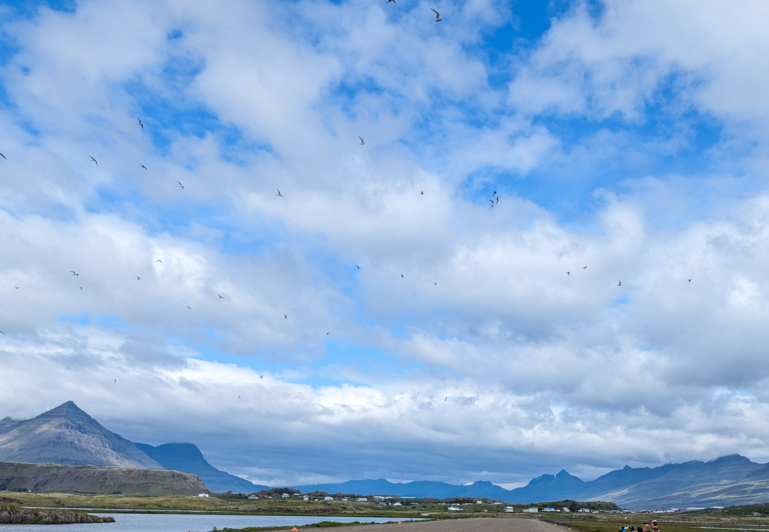 10 July: Bird Cliffs